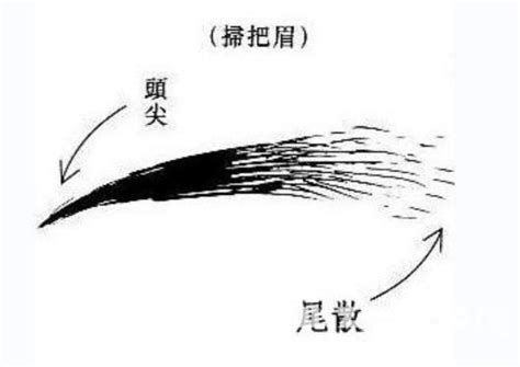 男人掃帚眉|男女扫帚眉的面相性格，命运详解